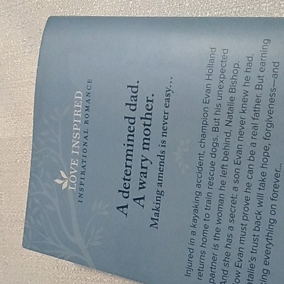 Love inspired Romance 3 Books The Father/ A Future To Fight For / Missionary - Picture 7 of 7